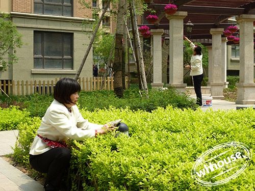 5911e83471d968c33abd4ccf5d4daab7.jpg 5911e83471d968c33abd4ccf5d4daab7.jpg